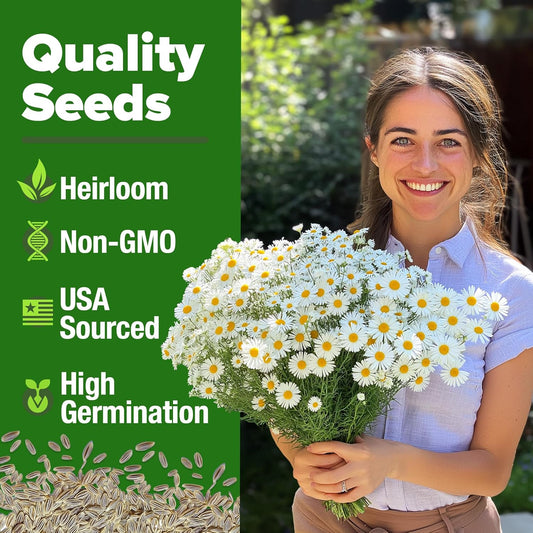 HOME GROWN German Chamomile Seed Pack 2,280 Non GMO Heirloom Seeds for Planting for Sustainable Gardens and Soothing Medicinal Herbal Teas (Matricaria chamomilla)